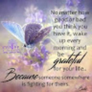 Meet your Posher, Amber